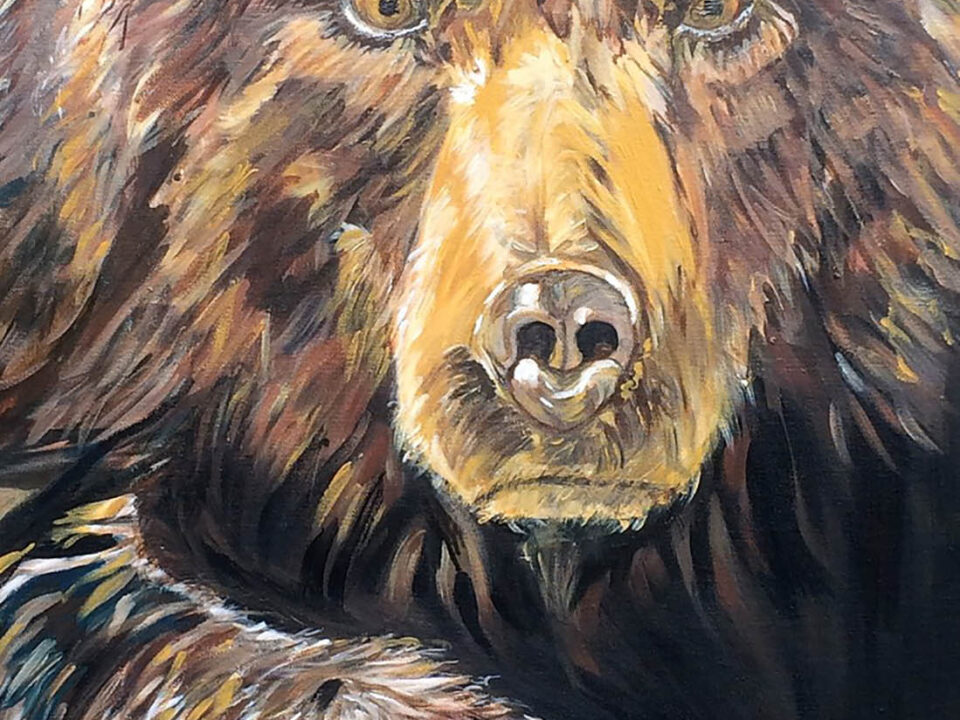 Mother Bear