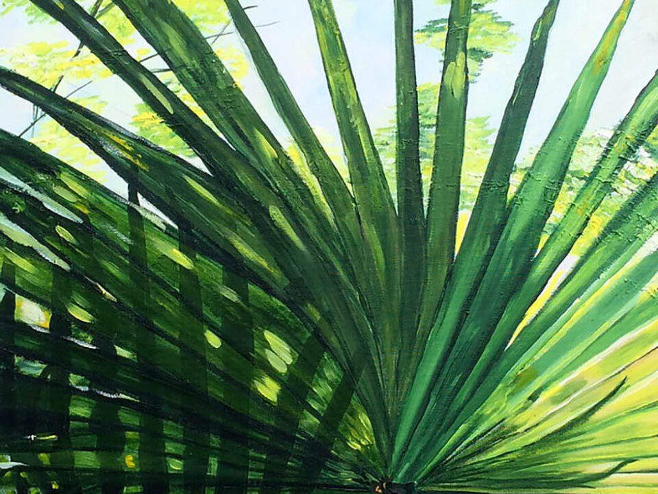 Summer Shade